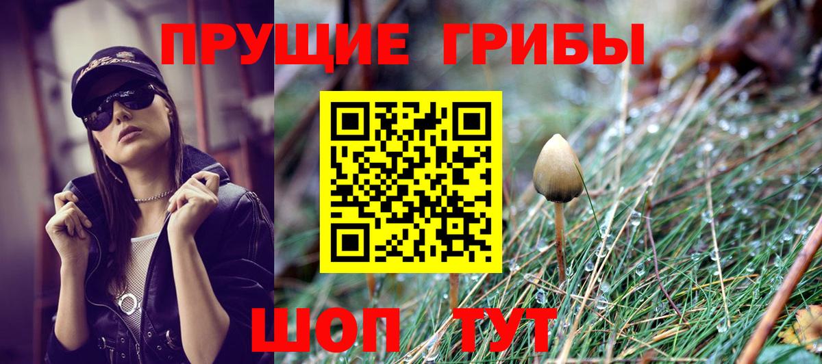 Галлюциногенные грибы GOLDEN TEACHER Рузаевка
